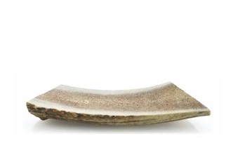 Barkworthies Split Elk Antler - Image 5