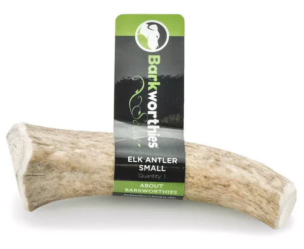 Barkworthies Whole Elk Antler - Image 2