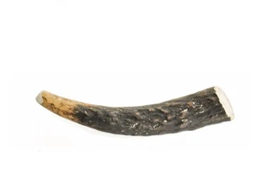 Barkworthies Whole Elk Antler - Image 4