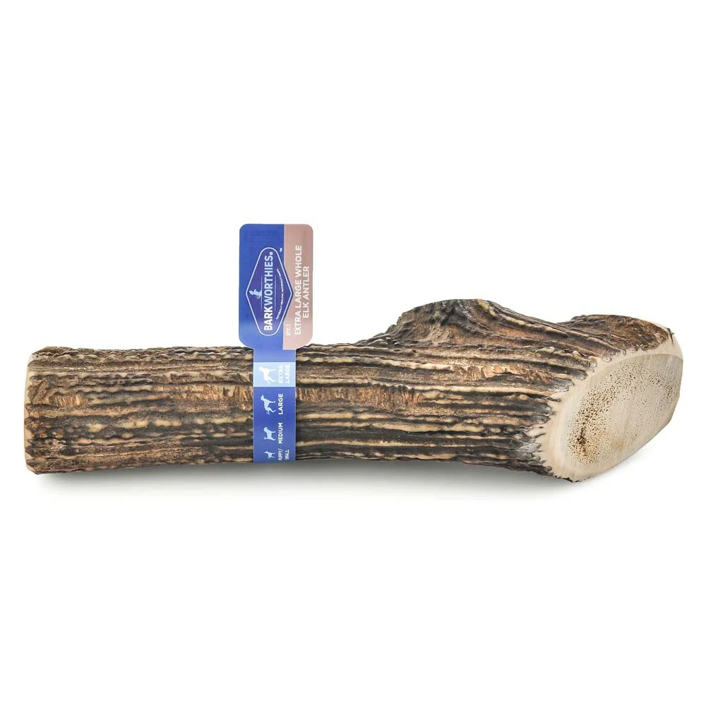 Barkworthies Whole Elk Antler - Image 5