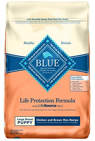 Blue Life Protection Large Breed Puppy - Image 4