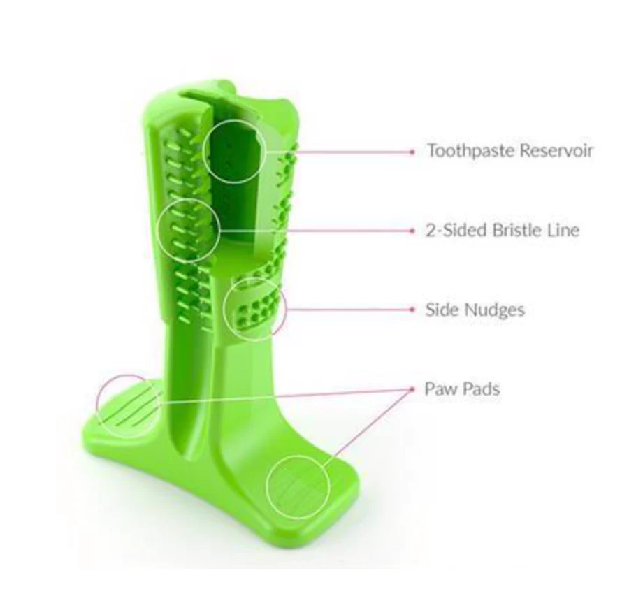 Bristly DIY Toothbrush - Image 3