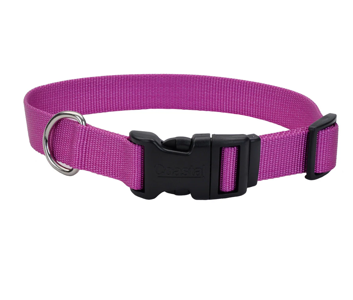 Coastal Adjustable Dog Collar with Plastic Buckle - Image 27