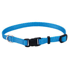 Coastal Adjustable Dog Collar with Plastic Buckle - Image 30
