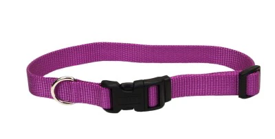Coastal Adjustable Dog Collar with Plastic Buckle - Image 48