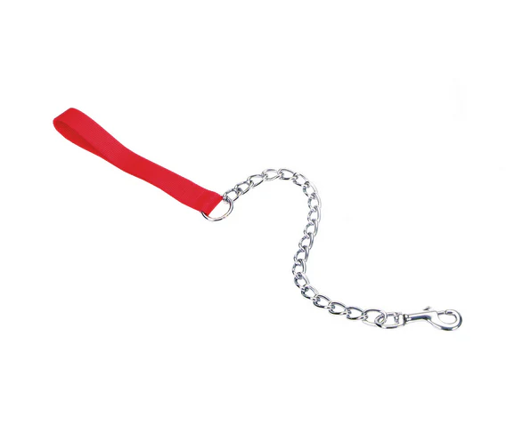 Coastal Chain Dog Leash with Nylon Handle - Image 8