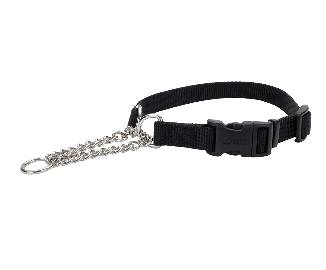 Coastal Check Training Collar with Buckle - Image 13
