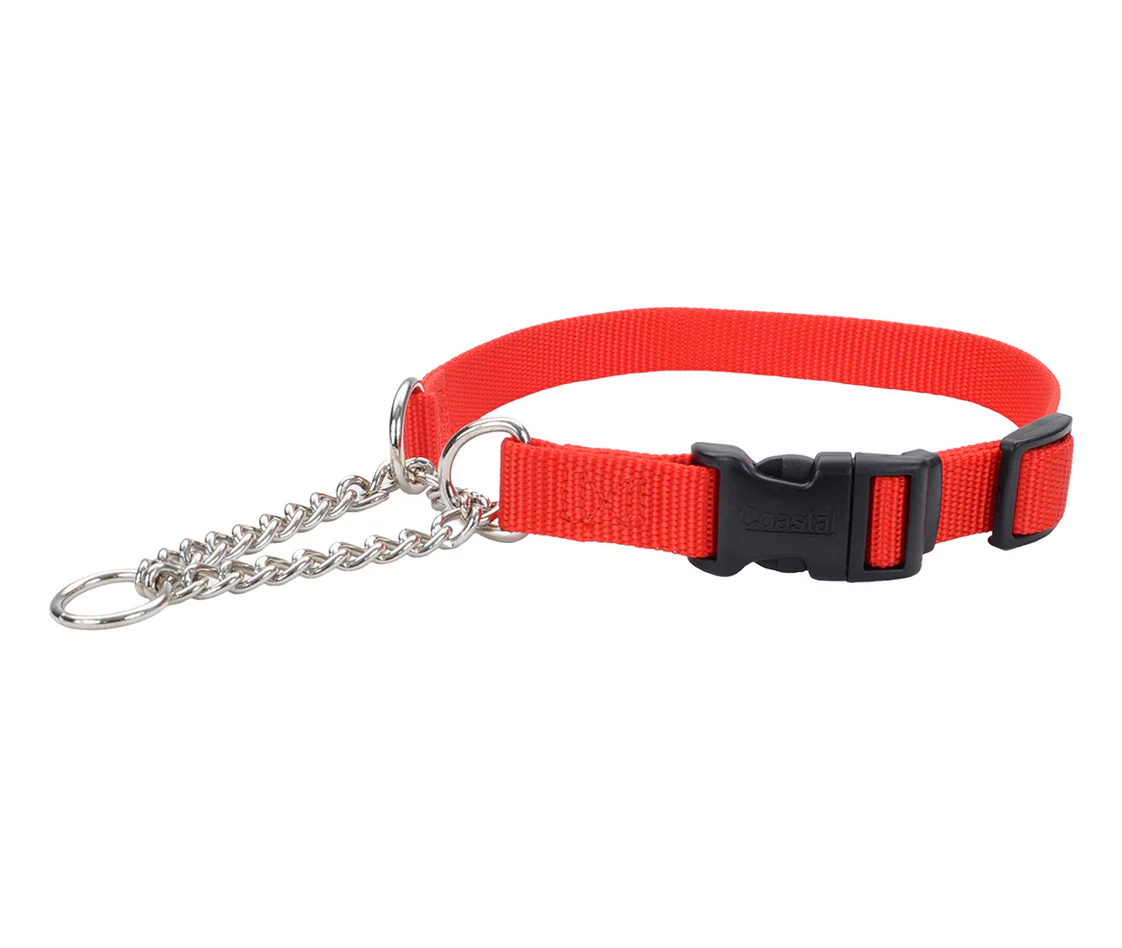 Coastal Check Training Collar with Buckle - Image 15