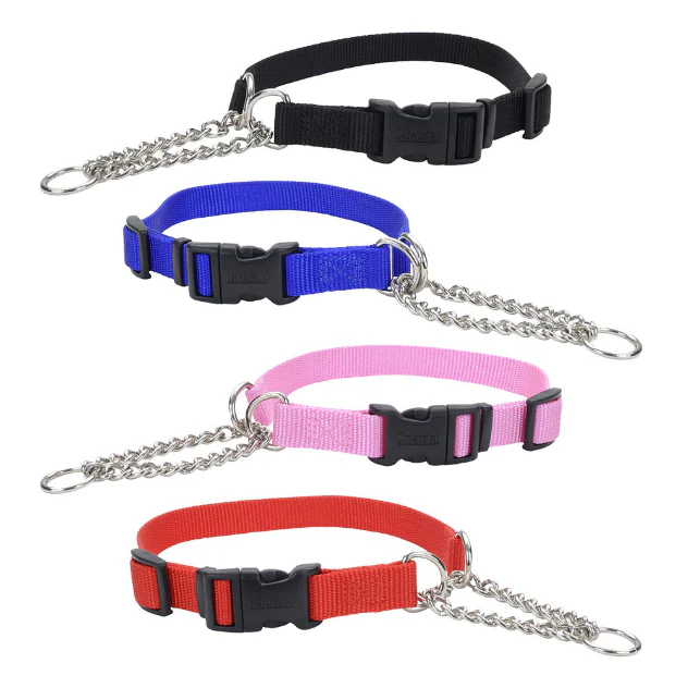 Coastal Check Training Collar with Buckle - Image 3