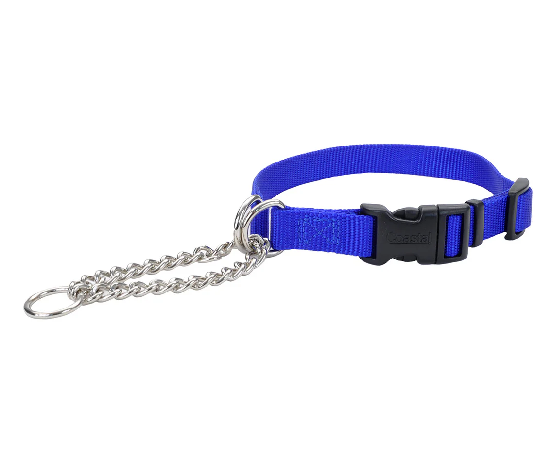 Coastal Check Training Collar with Buckle - Image 5