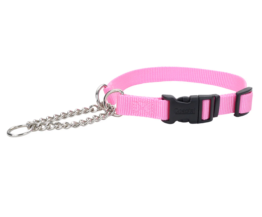Coastal Check Training Collar with Buckle - Image 6