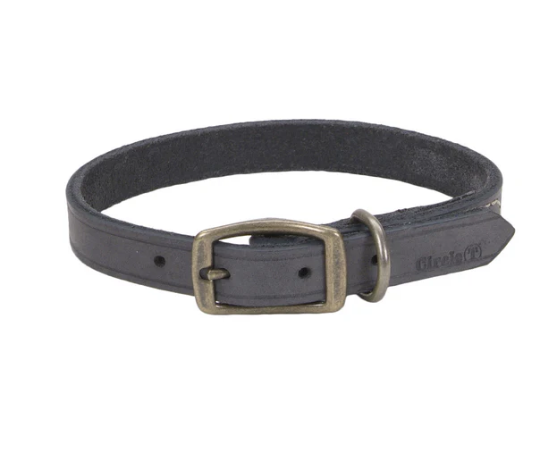Coastal Circle T Rustic Leather Dog Collar - Image 11