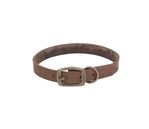 Coastal Circle T Rustic Leather Dog Collar - Image 13