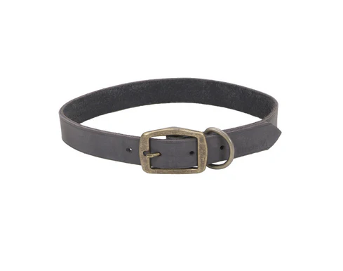 Coastal Circle T Rustic Leather Dog Collar - Image 14