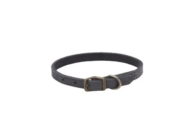 Coastal Circle T Rustic Leather Dog Collar - Image 16
