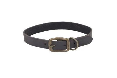 Coastal Circle T Rustic Leather Dog Collar - Image 18