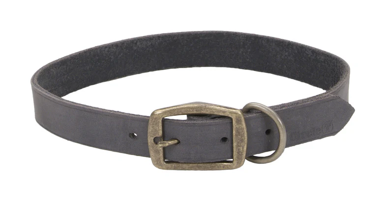 Coastal Circle T Rustic Leather Dog Collar - Image 19
