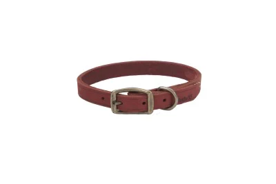 Coastal Circle T Rustic Leather Dog Collar - Image 20