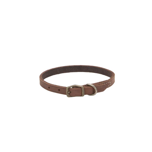 Coastal Circle T Rustic Leather Dog Collar - Image 21