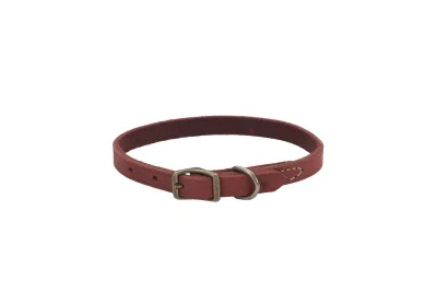 Coastal Circle T Rustic Leather Dog Collar - Image 22