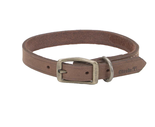 Coastal Circle T Rustic Leather Dog Collar - Image 24