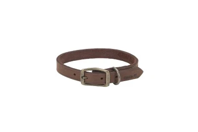 Coastal Circle T Rustic Leather Dog Collar - Image 26