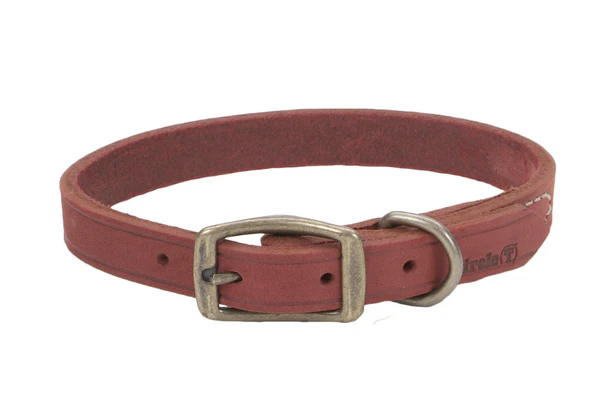 Coastal Circle T Rustic Leather Dog Collar - Image 27