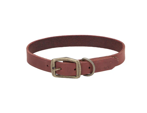 Coastal Circle T Rustic Leather Dog Collar - Image 3