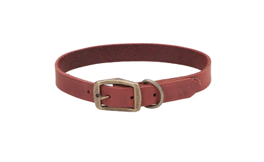 Coastal Circle T Rustic Leather Dog Collar - Image 4
