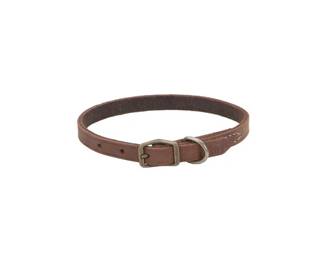 Coastal Circle T Rustic Leather Dog Collar - Image 5