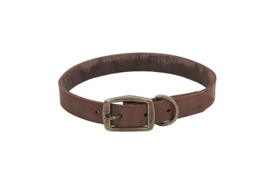 Coastal Circle T Rustic Leather Dog Collar - Image 7