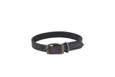 Coastal Circle T Rustic Leather Dog Collar - Image 9