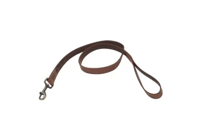 Coastal Circle T Rustic Leather Dog Leash - Image 10