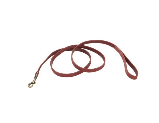 Coastal Circle T Rustic Leather Dog Leash - Image 2
