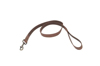 Coastal Circle T Rustic Leather Dog Leash - Image 3