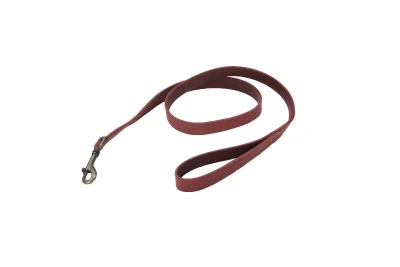 Coastal Circle T Rustic Leather Dog Leash - Image 4