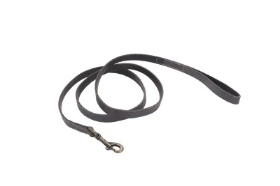 Coastal Circle T Rustic Leather Dog Leash - Image 6
