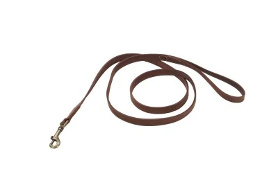 Coastal Circle T Rustic Leather Dog Leash - Image 9