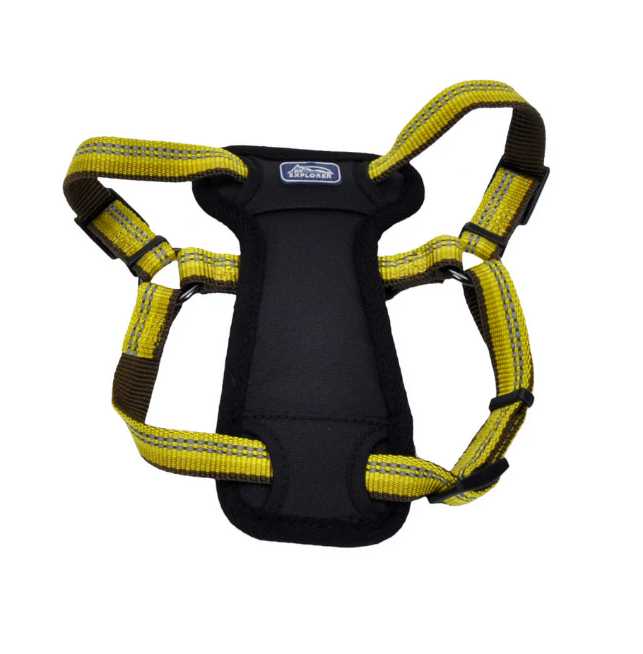 Coastal K9 Explorer Padded Harness - Image 11