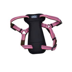 Coastal K9 Explorer Padded Harness - Image 13