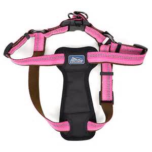 Coastal K9 Explorer Padded Harness - Image 14