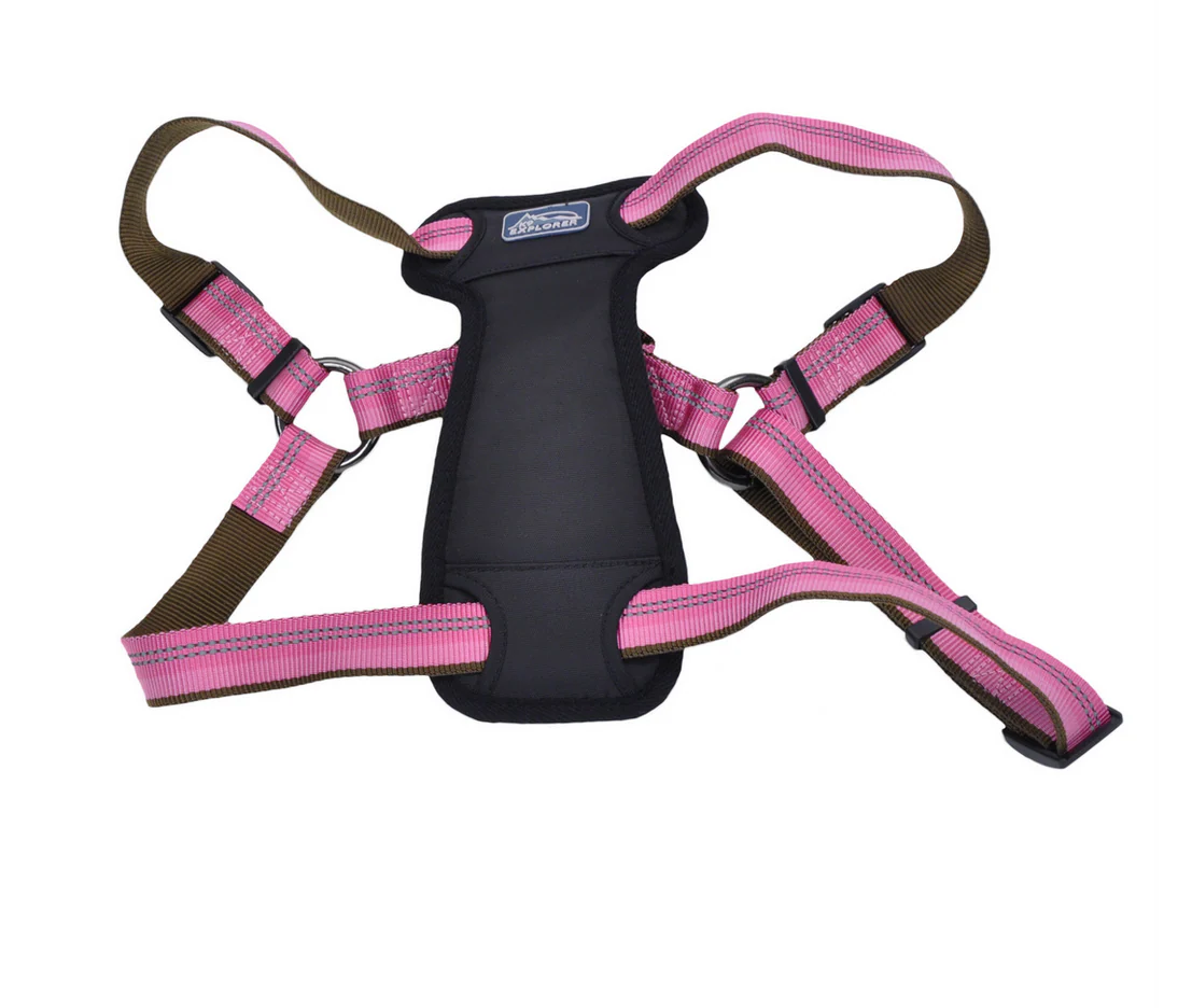 Coastal K9 Explorer Padded Harness - Image 16