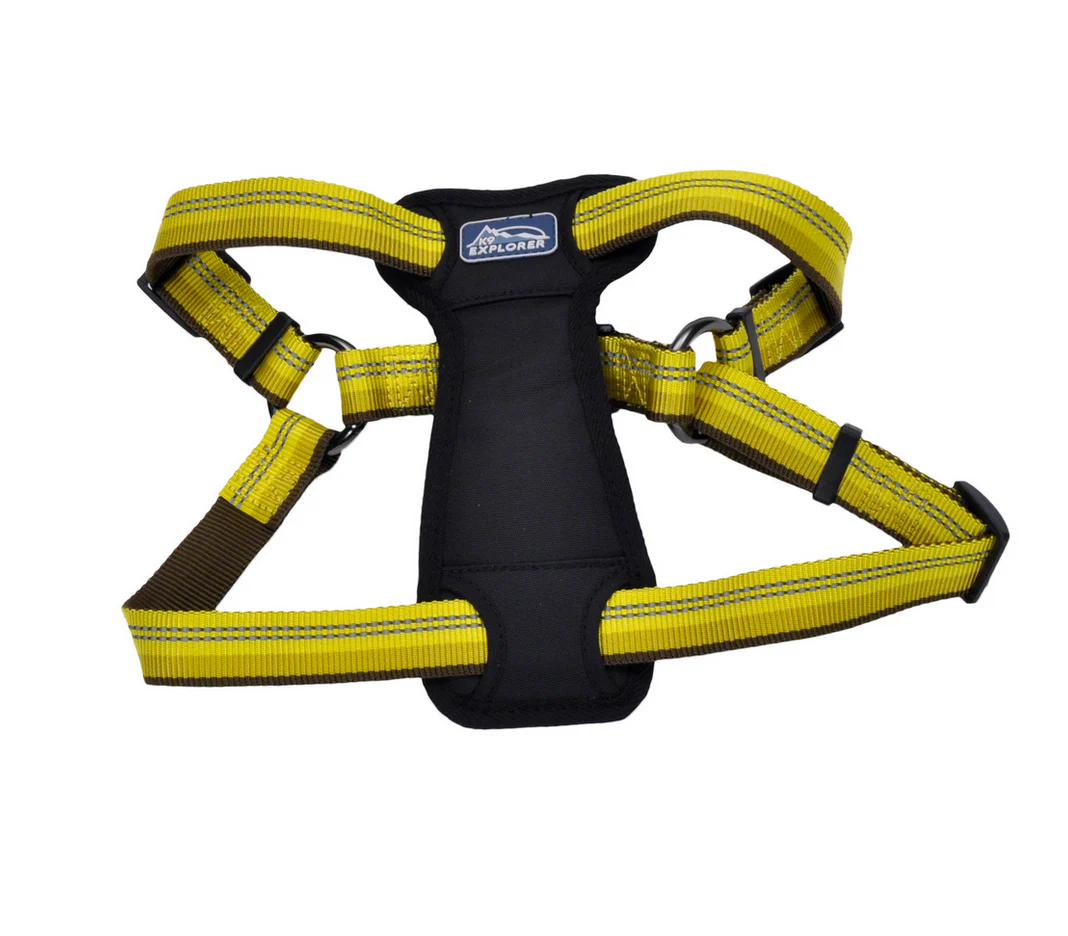Coastal K9 Explorer Padded Harness - Image 27
