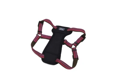Coastal K9 Explorer Padded Harness - Image 6