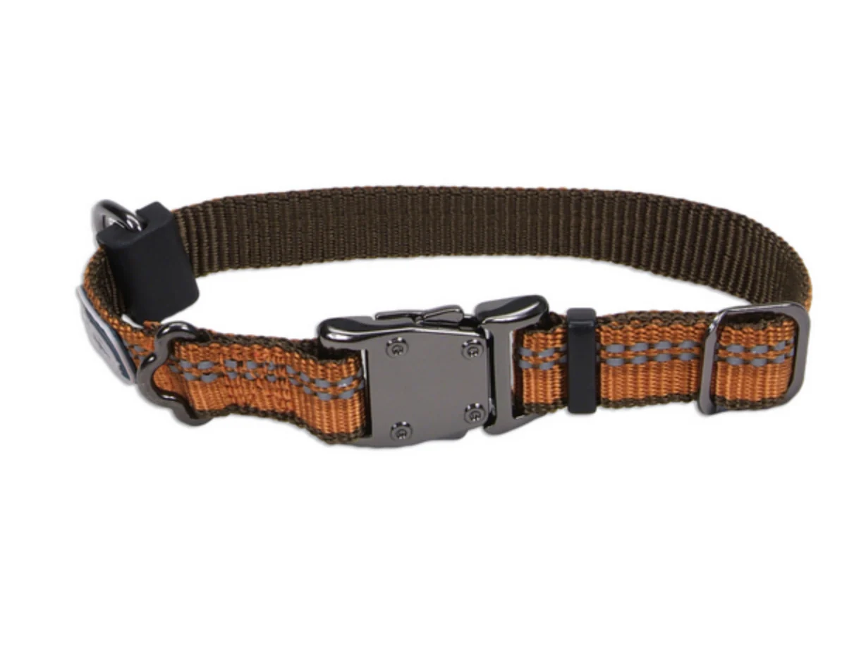 Coastal K9 Explorer Reflective Dog Collar - Image 10