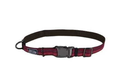 Coastal K9 Explorer Reflective Dog Collar - Image 14