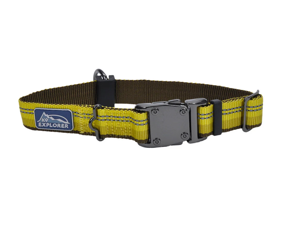Coastal K9 Explorer Reflective Dog Collar - Image 17