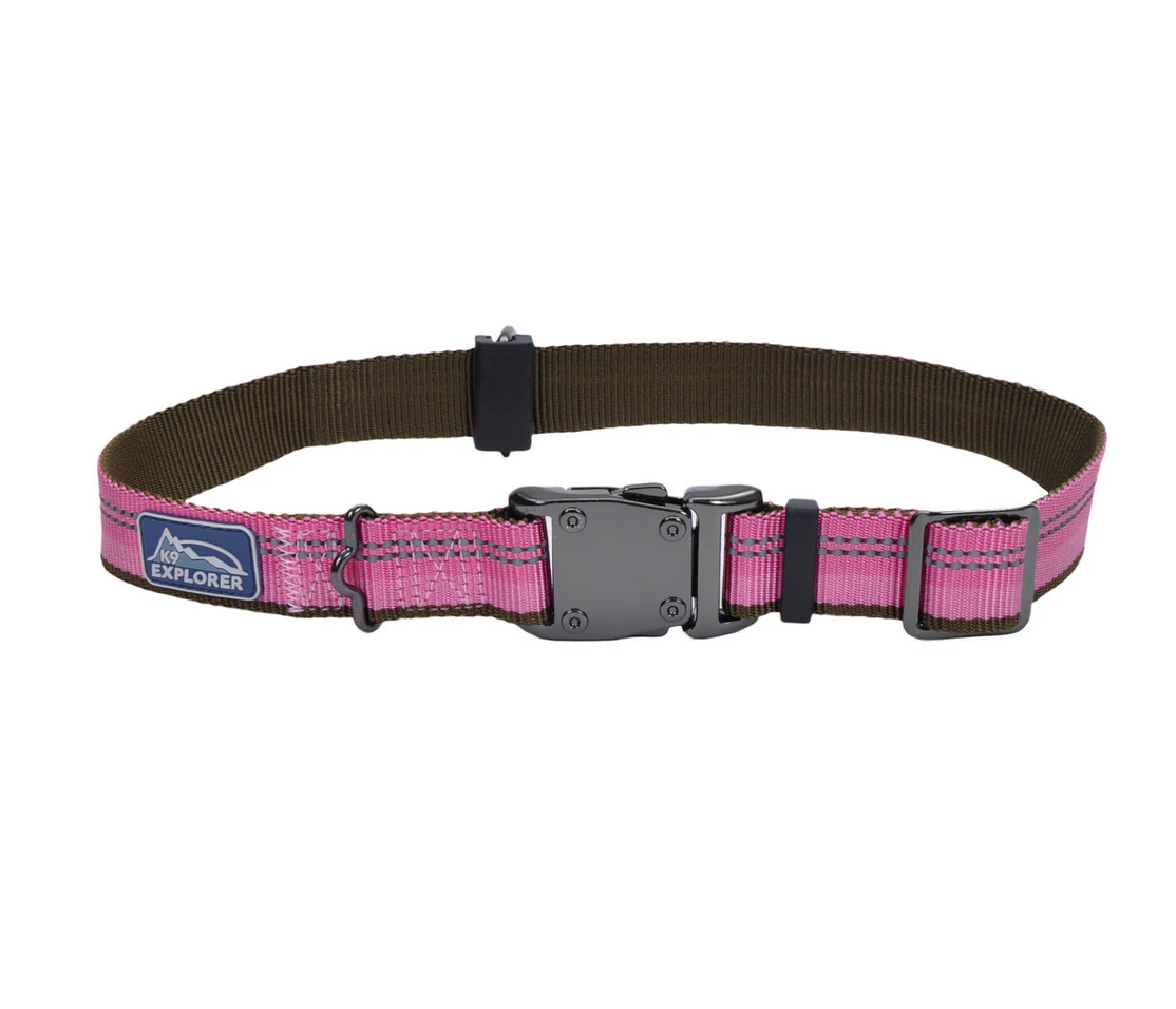 Coastal K9 Explorer Reflective Dog Collar - Image 22