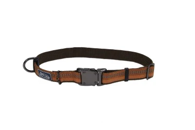 Coastal K9 Explorer Reflective Dog Collar - Image 23