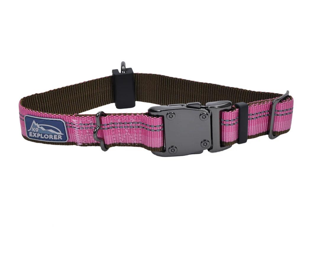 Coastal K9 Explorer Reflective Dog Collar - Image 4